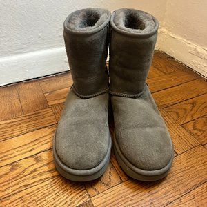 Grey Classic Short Ugg Boots Size 6